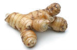 Galangal
