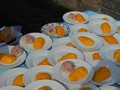 DSCN9402